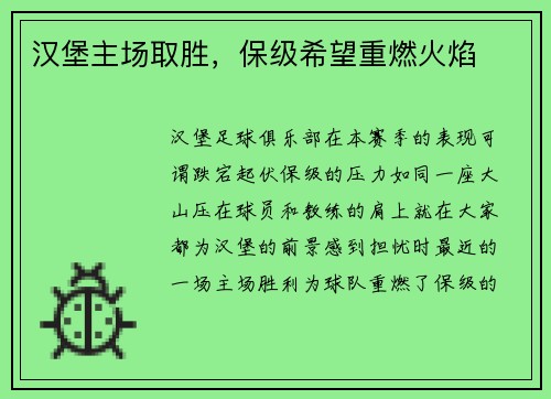 汉堡主场取胜,保级希望重燃火焰