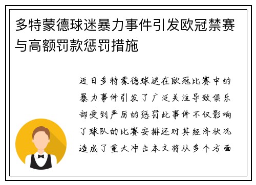 多特蒙德球迷暴力事件引发欧冠禁赛与高额罚款惩罚措施